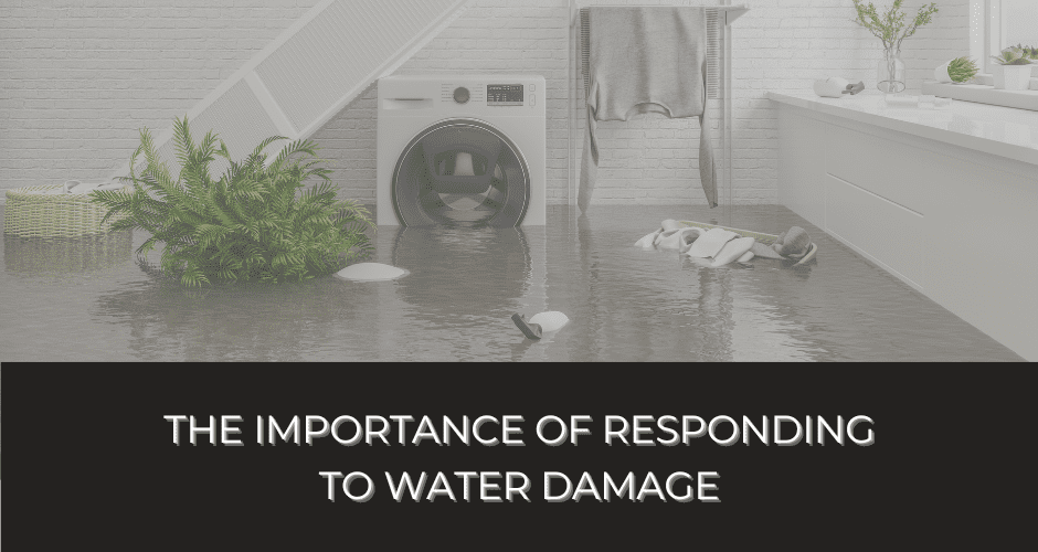 The Importance of Responding to Water Damage